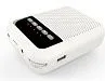LAudio WS-VA030 Переносной громкоговоритель для гида.-1