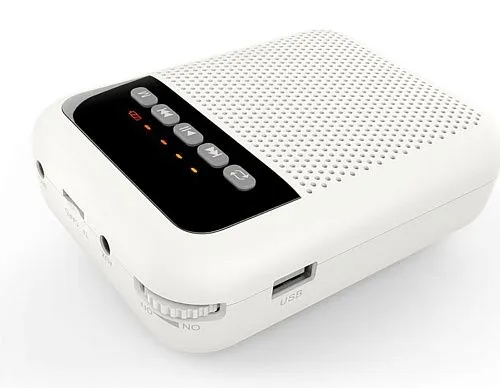 LAudio WS-VA030 Переносной громкоговоритель для гида.